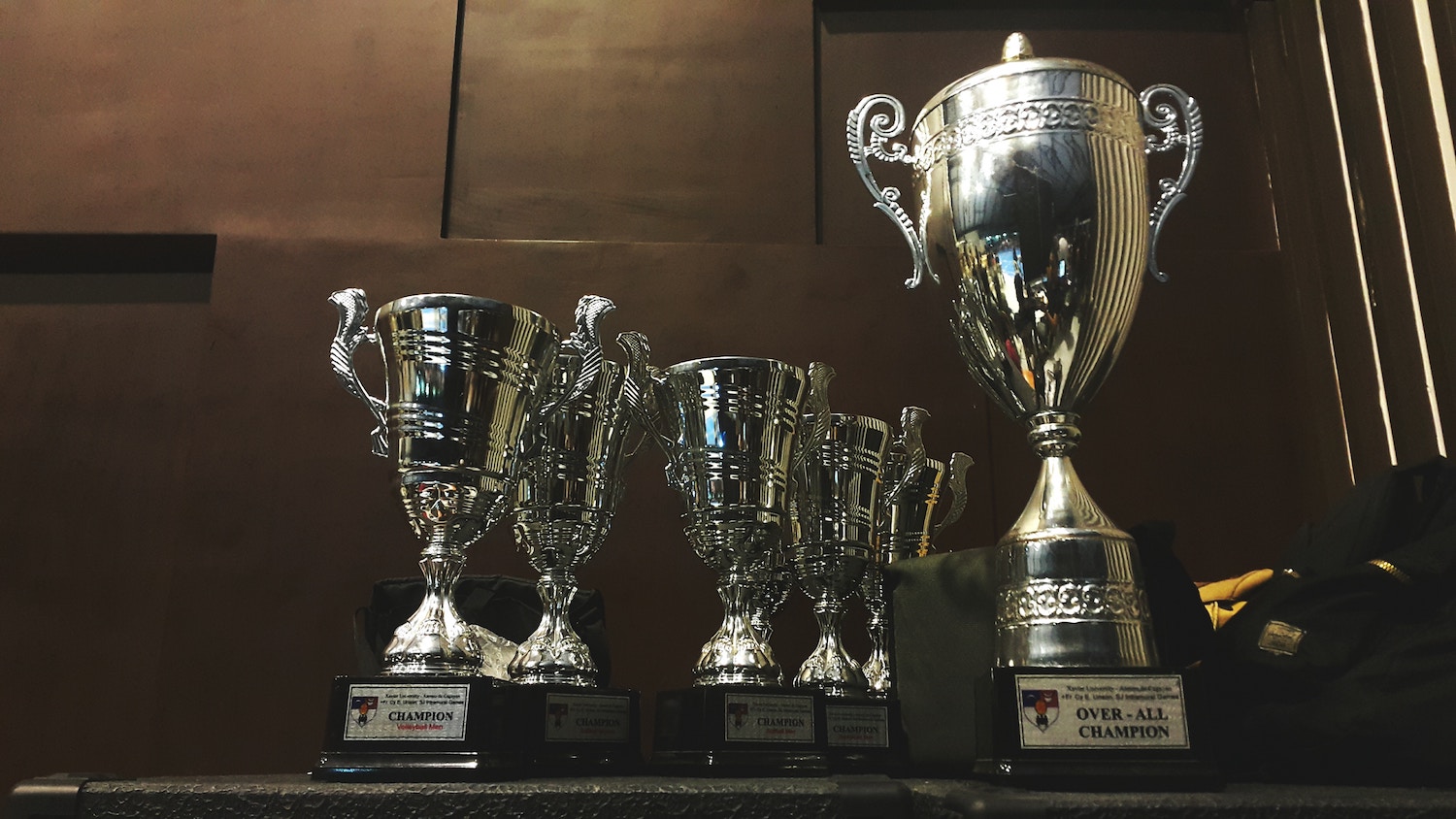 Photograph of a row of silver champion trophy cups.
