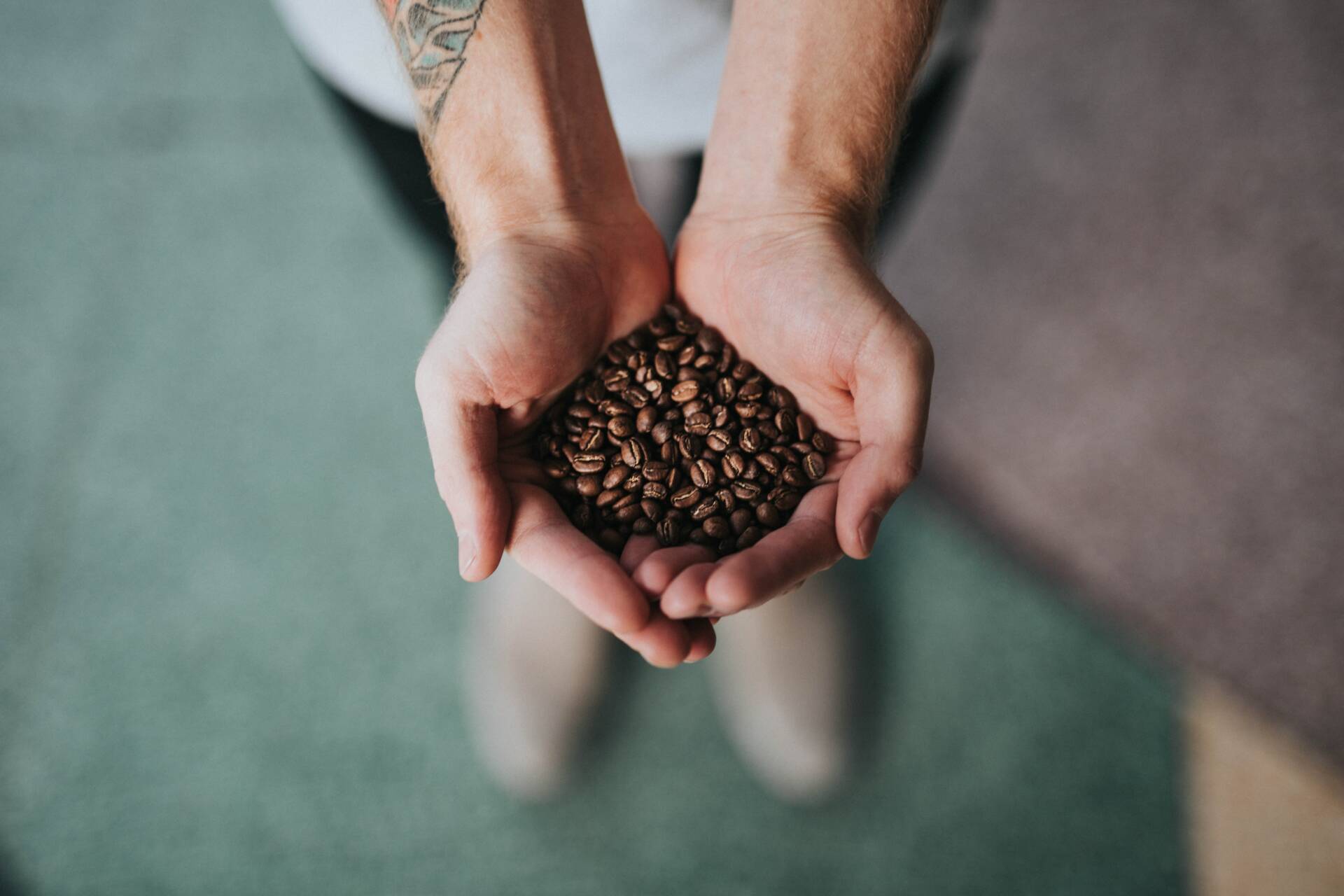 Close-up image of a person holding coffee beans in their hands.
